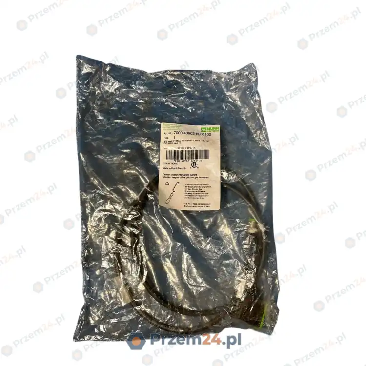 Murr-7000-40962-6260100-Cable-New-in-box