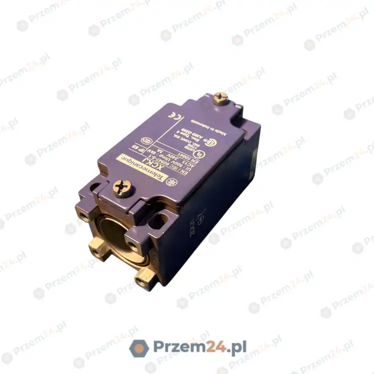 Telemecanique-XCKJ-Position-Limit-Switch-New-no-box-4