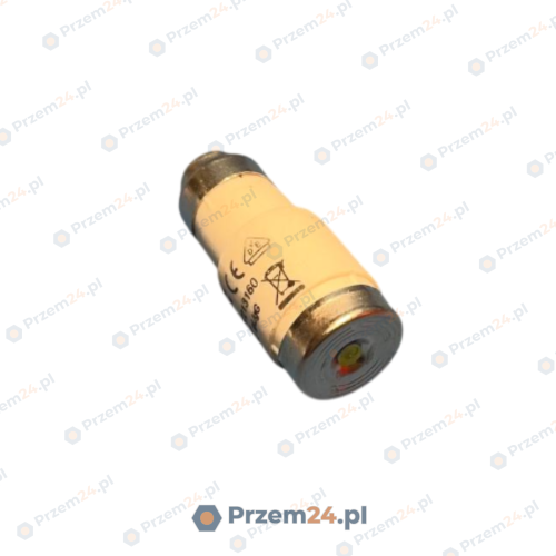 Ferraz-NEOZED-D02GG40V25-Fuse-link-25A-(x7-pieces)-New-no-box-2