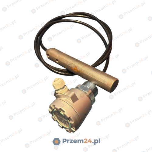 Endress+Hauser-Solicap-FTC52-AG1AC12EB-52010290-Capacitive-level-switch