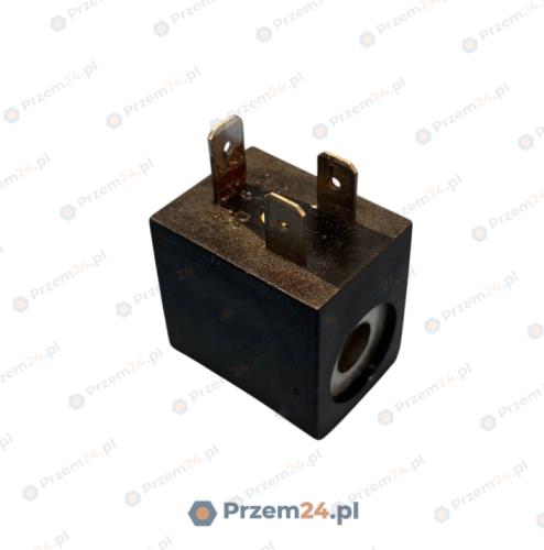 24-V-DC-5W-Coil-2