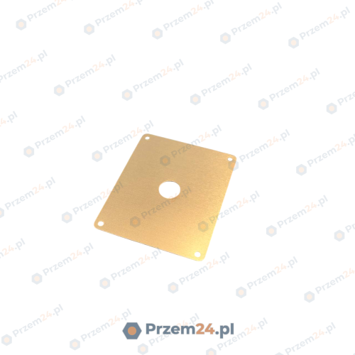 Bucher-100218778-Front-plate-for-Bucher-Amplifier-ELSK106-2