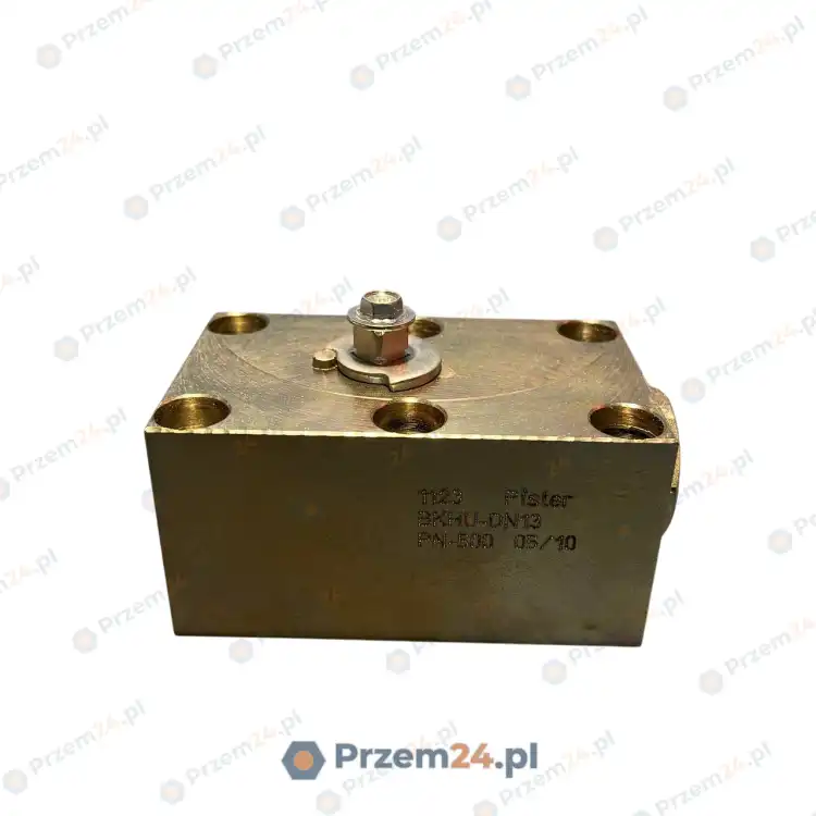 Pister-BKHU-DN13-1123-PN-500-Panel-mount-ball-valve-2