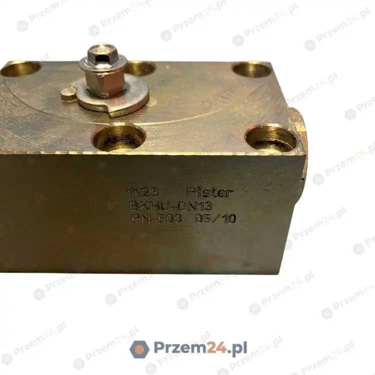 Pister-BKHU-DN13-1123-PN-500-Panel-mount-ball-valve-3