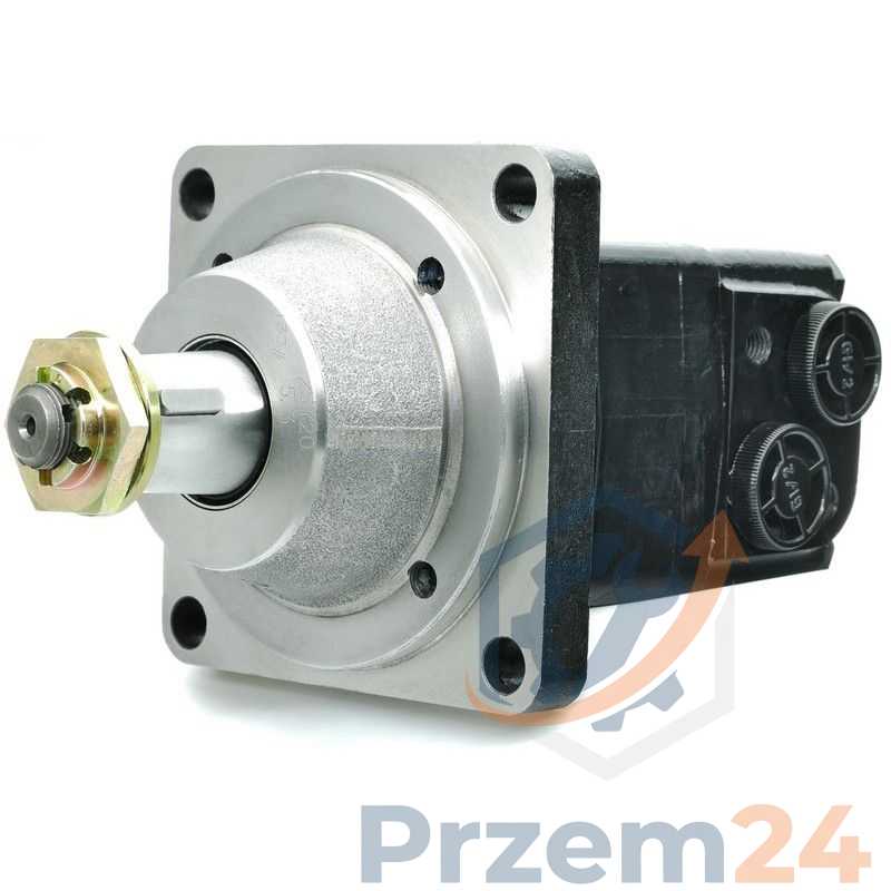 BMSW-160-BMSW160-Hydraulic-motor-replacement