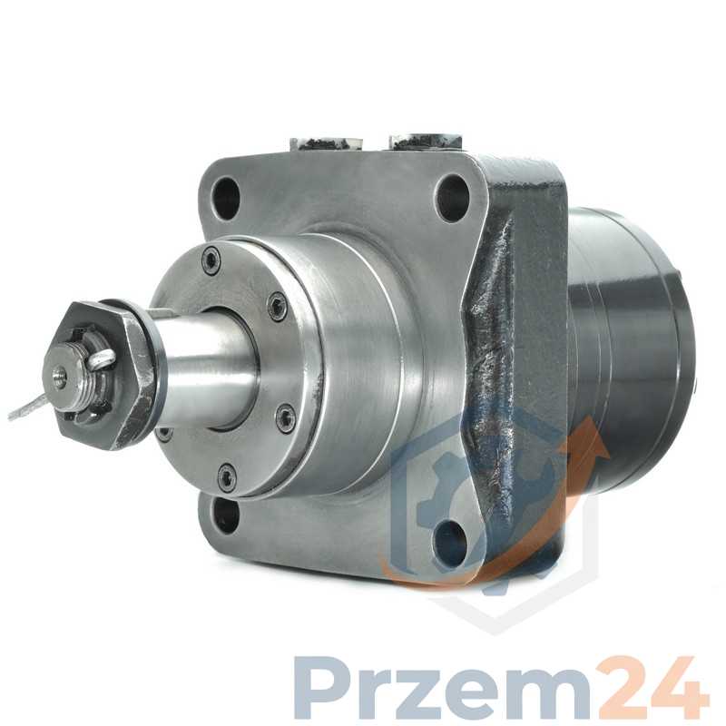 BMRW250-BMRW-250-Hydraulic-Motor-Replacement