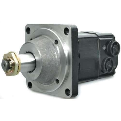 MSW250-MSW-250-Hydraulic-Motor-Replacement