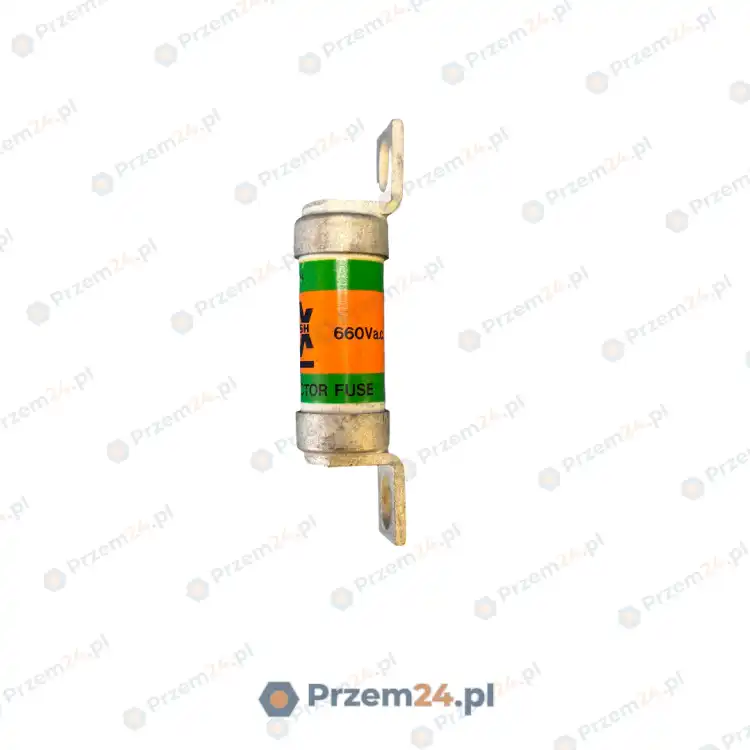 Brush-BS88-40FE-High-Speed-Fuse-660V-40A-2