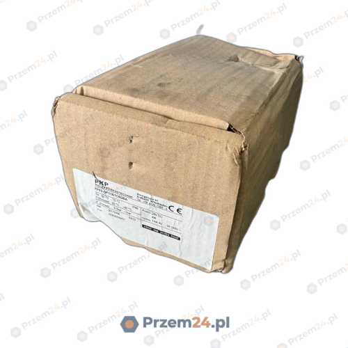 PKP-Prozessmesstechnik-FF03-DF11A1C5G5A-Flow-Switch-Sensor-24V-DC