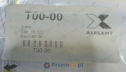 Axelent-T00-00-Safety-key-for-quick-panel-release-2