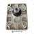 Galtech-2SM-A-110-R-EUR-K-N-10-0-N-1GM20010142-Hydraulic-gear-motor-4