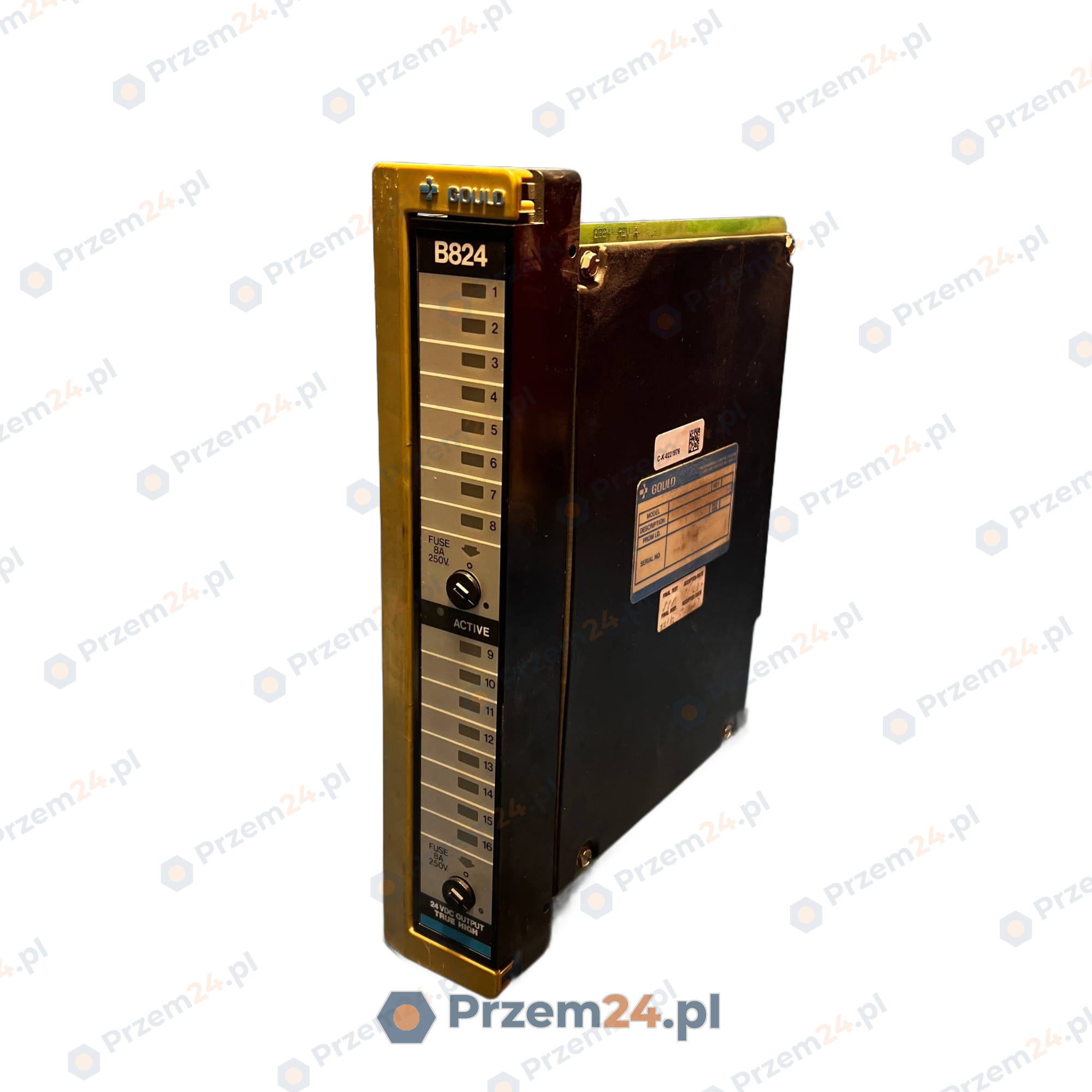 GOULD-AS-B824-016-ASB824016-Output-Module-24-VDC-Used