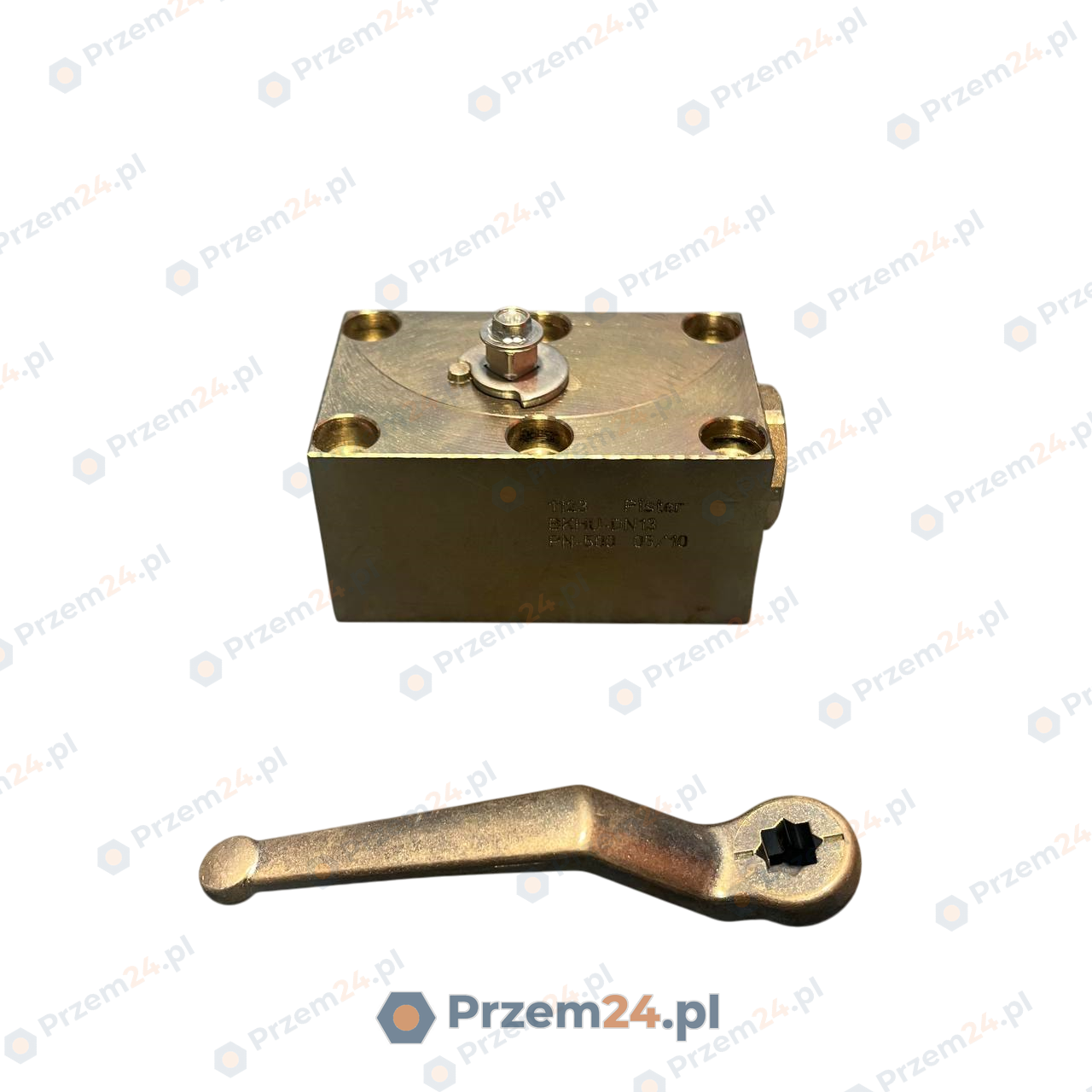 Pister-BKHU-DN13-1123-PN-500-Panel-mount-ball-valve