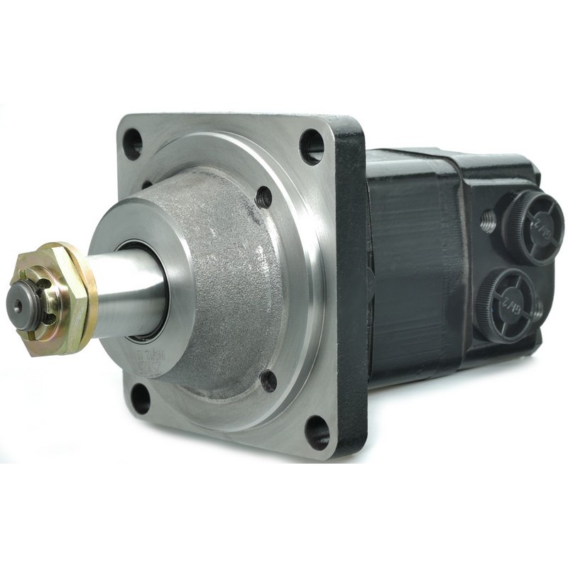 MSW250-MSW-250-Hydraulic-Motor-Replacement